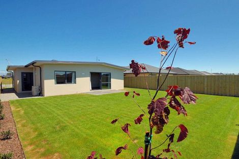 Photo of property in 32 Hodgkinson Road, Pegasus, 7612