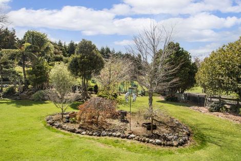 Photo of property in 397 Busby Road, Tahawai, Katikati, 3170