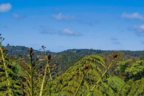 Photo of property in 772 West Coast Road, Oratia, Auckland, 0604