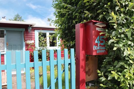 Photo of property in 45 Pentland Street, North East Valley, Dunedin, 9010