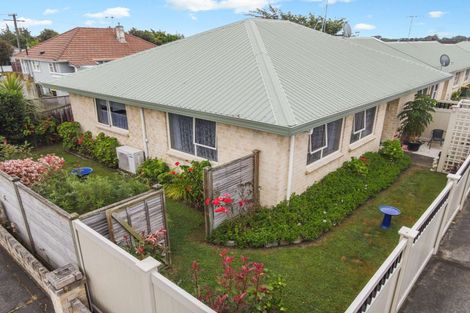 Photo of property in 61 Winchester Street, Levin, 5510