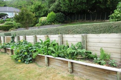 Photo of property in 155 Winara Avenue, Waikanae, 5036