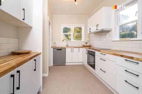 Photo of property in 113 Chapman Street, Wakari, Dunedin, 9010