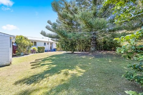 Photo of property in 29 Kaikoura Street, Henderson, Auckland, 0612