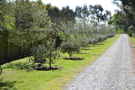 Photo of property in 107 Harleston Road, Sefton, Rangiora, 7477
