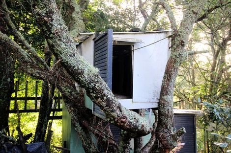 Photo of property in 42 Minnehaha Avenue, Titirangi, Auckland, 0604