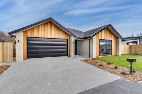 Photo of property in 9 Mills Road, Marshland, Christchurch, 8051