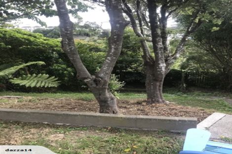 Photo of property in 35 Oswald Crescent, Paparangi, Wellington, 6037