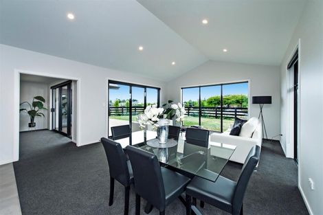 Photo of property in 12 Alfie Lane, Lincoln, 7608