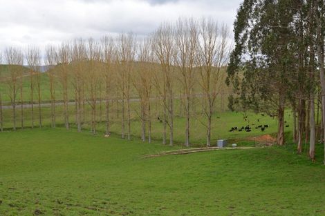 Photo of property in 80 State Highway 3, Piopio, 3970