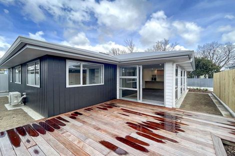 Photo of property in 490b Ferguson Street, Palmerston North, 4410