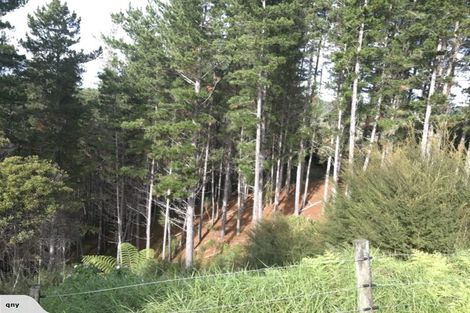 Photo of property in 55b Rigden Road, Opua, 0272