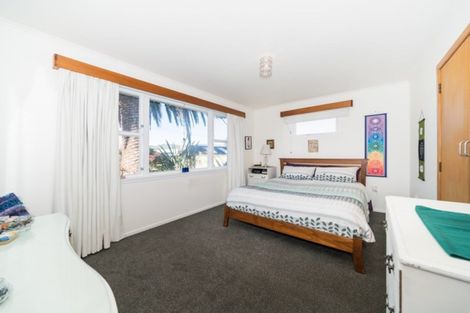 Photo of property in 113 Stanford Street North, Ashhurst, 4810