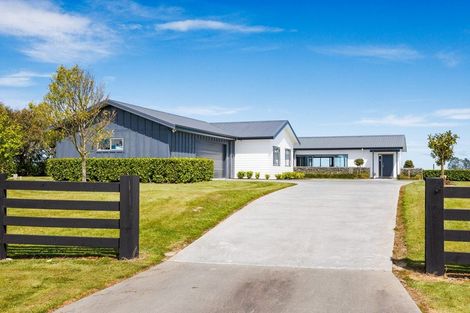 Photo of property in 57 Wapiti Avenue, Feilding, 4775
