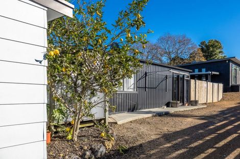 Photo of property in 8 Nikau Road, Oneroa, Waiheke Island, 1081