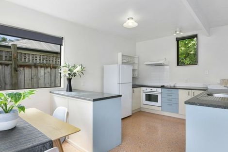 Photo of property in 18 Pentland Street, North East Valley, Dunedin, 9010