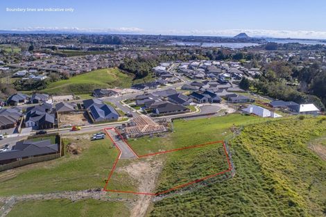 Photo of property in 42 Pinkerton Place, Ohauiti, Tauranga, 3112