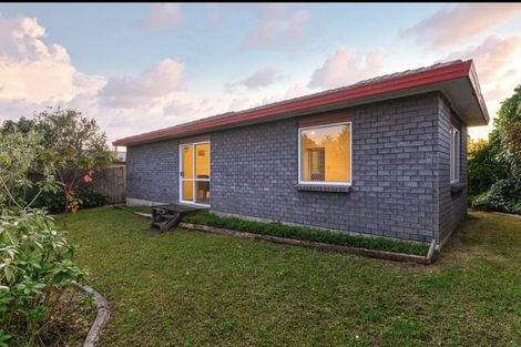 Photo of property in 62 Webster Avenue, Mount Roskill, Auckland, 1041