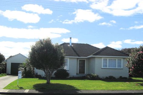 Photo of property in 17 Saint Annes Street, Levin, 5510