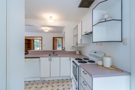 Photo of property in 58 Manchester Street, Bradford, Dunedin, 9011