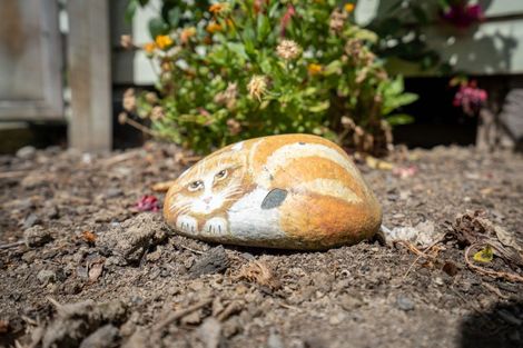 Photo of property in 59 Johnson Street, Milton, 9220