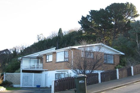 Photo of property in 11 Wanaka Street, Ravensbourne, Dunedin, 9022
