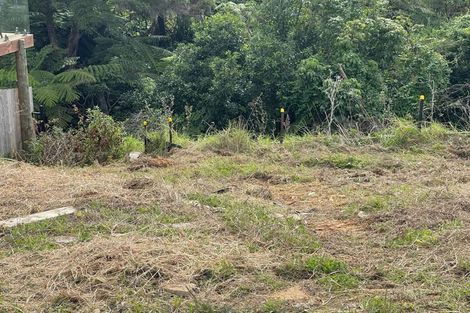 Photo of property in 1 Kaimai Avenue, Massey, 0614