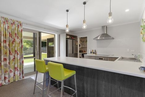 Photo of property in 56 Ritchie Street, Te Aroha, 3320