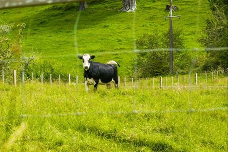 Photo of property in 107 Harataua Road, Port Albert, Wellsford, 0973