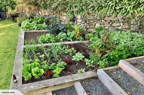 Photo of property in 11 Spottiswoode Street, Andersons Bay, Dunedin, 9013