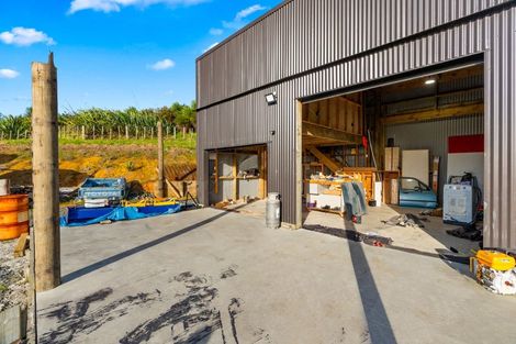 Photo of property in 484b Whangaripo Valley Road, Whangaripo, Wellsford, 0972