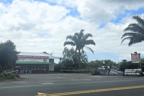 Photo of property in 113-115 Fred Taylor Drive, Whenuapai, Auckland, 0814