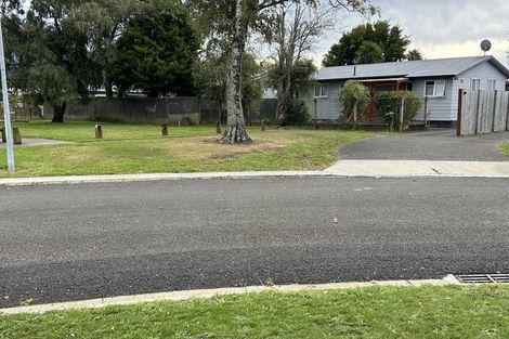 Photo of property in 49 Patikura Place, Turangi, 3334