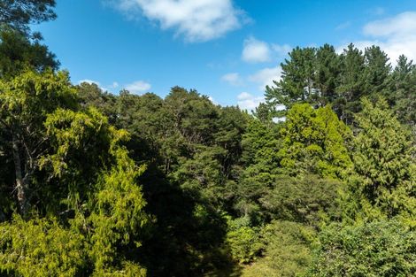 Photo of property in 110a Waipa Heights Road, Ngaruawahia, 3793