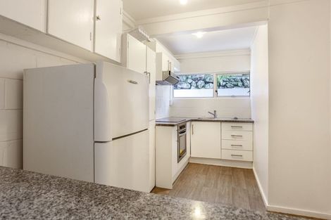 Photo of property in 8 Allen Road, Grey Lynn, Auckland, 1021