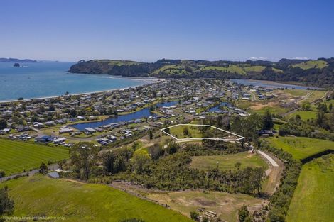 Photo of property in 823b Purangi Road, Cooks Beach, Whitianga, 3591