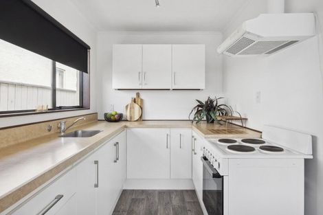 Photo of property in 8c Grove Street, Saint Kilda, Dunedin, 9012