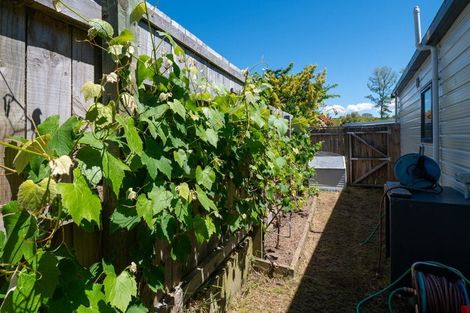 Photo of property in 19 Korari Crescent, Mangakino, 3421