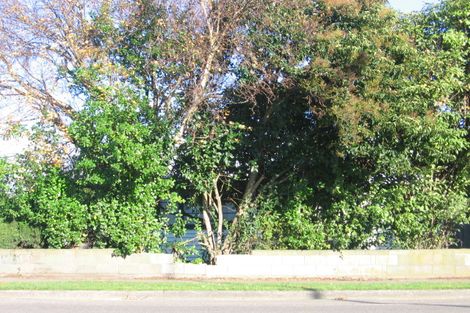 Photo of property in 246 Botanical Road, Takaro, Palmerston North, 4412