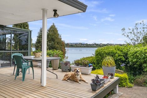 Photo of property in 117 Haukore Street, Hairini, Tauranga, 3112