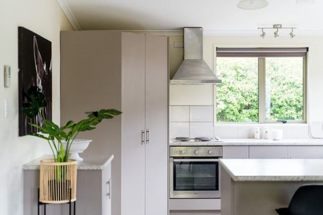 Photo of property in 19 Afton Terrace, North East Valley, Dunedin, 9010