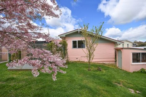 Photo of property in 116 Beach Street, Waikouaiti, 9510