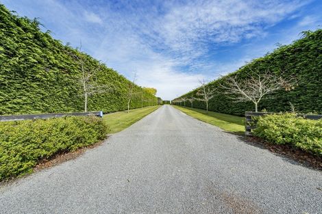 Photo of property in 623 Leeston Dunsandel Road, Leeston, 7682