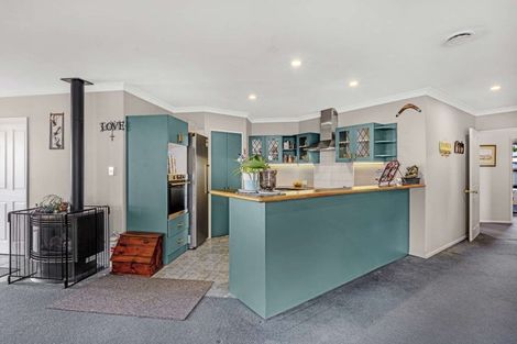 Photo of property in 51 Trevors Road, Hampstead, Ashburton, 7700
