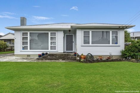 Photo of property in 3 Roosevelt Street, Levin, 5510