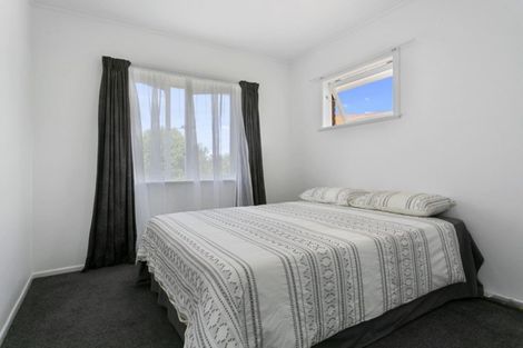 Photo of property in 17 Bledisloe Avenue, Putaruru, 3411