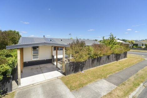 Photo of property in 94 Derby Street, Feilding, 4702