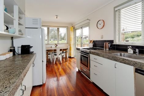 Photo of property in 13 Blease Street, New Lynn, Auckland, 0600