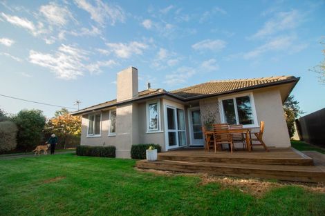 Photo of property in 101 Mulgrave Street, Ashhurst, 4810