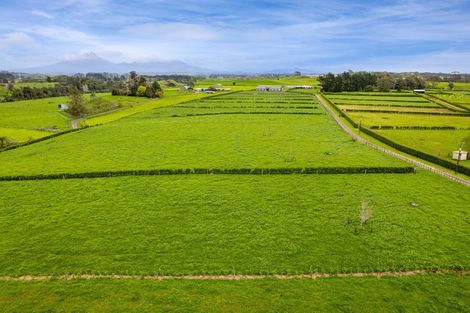 Photo of property in 312 Corbett Road, Paraite, New Plymouth, 4373